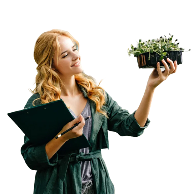 Иллюстрация для целевой аудитории сервиса